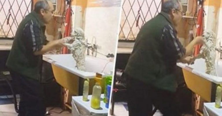 This Brilliant Old Pet Groomer Was Secretly Filmed Dancing With His Client’s Dog!